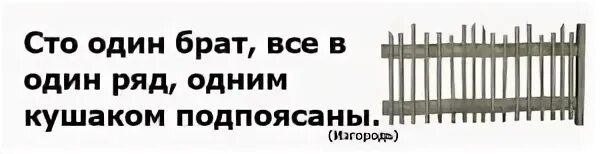 Сто один брат вместе связаны стоят