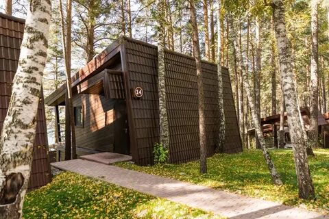 Шишка новосибирск