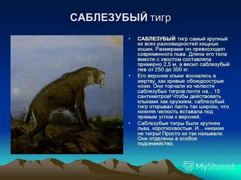 Сообщение о древнем животном. Древние хищные животные земли. саблезубые животные вымершие. доклад про саблезубого тигра. сообщение на тему древние животный земли хищники.