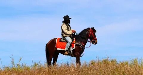Horse manning