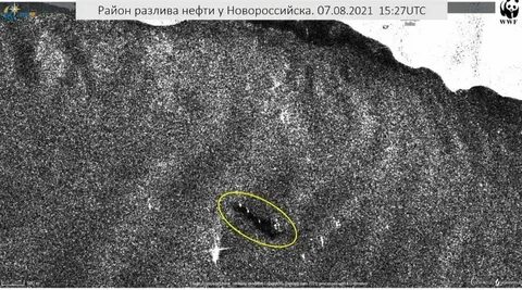 Выбросы в новороссийске