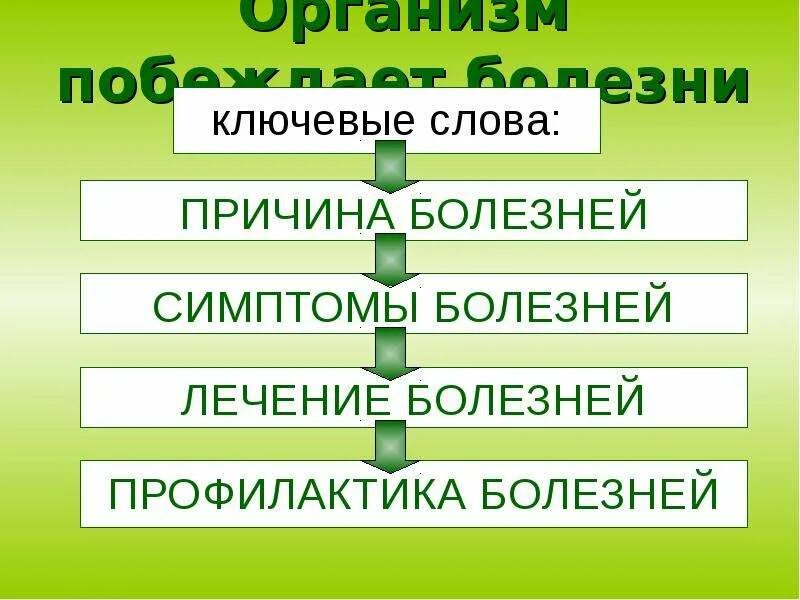 Кроссворд на тему системы органов. Кроссворд на тем человек. Вопрос к слову организм. Вопрос к слову организм. Вопрос к слову организм.