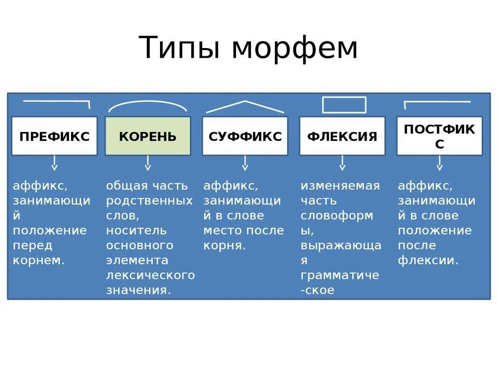 Что значит значимые морфемы. Виды морфем. Типы морфем. Морфемика типы морфем. Морфема типы морфем.