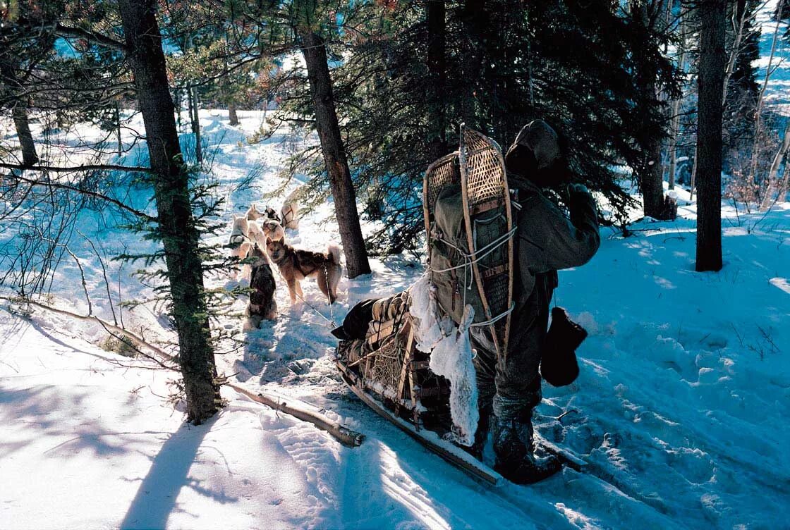 Пьедестал клипарт горные лыжи. Лыжи зверолова 6 букв. Спуск в низкой стойке. Охота в древней руси. Траппер маунтинмен.