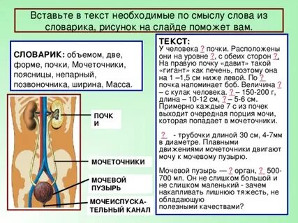 Находится на уровне 15