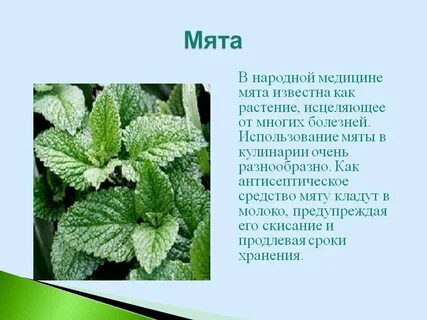Сминать траву как пишется
