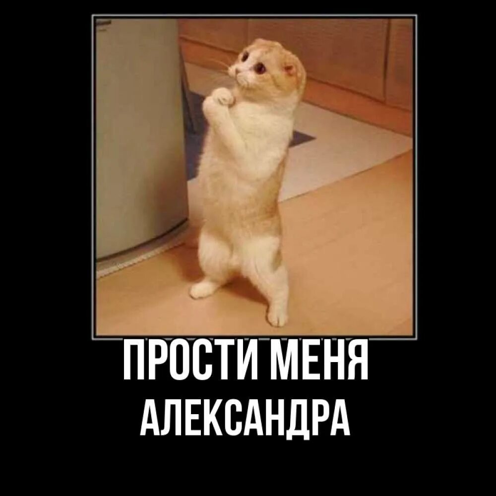 Простите меня. Прощения александре. Прощения александре. Прошу прощения. Прощения александре.