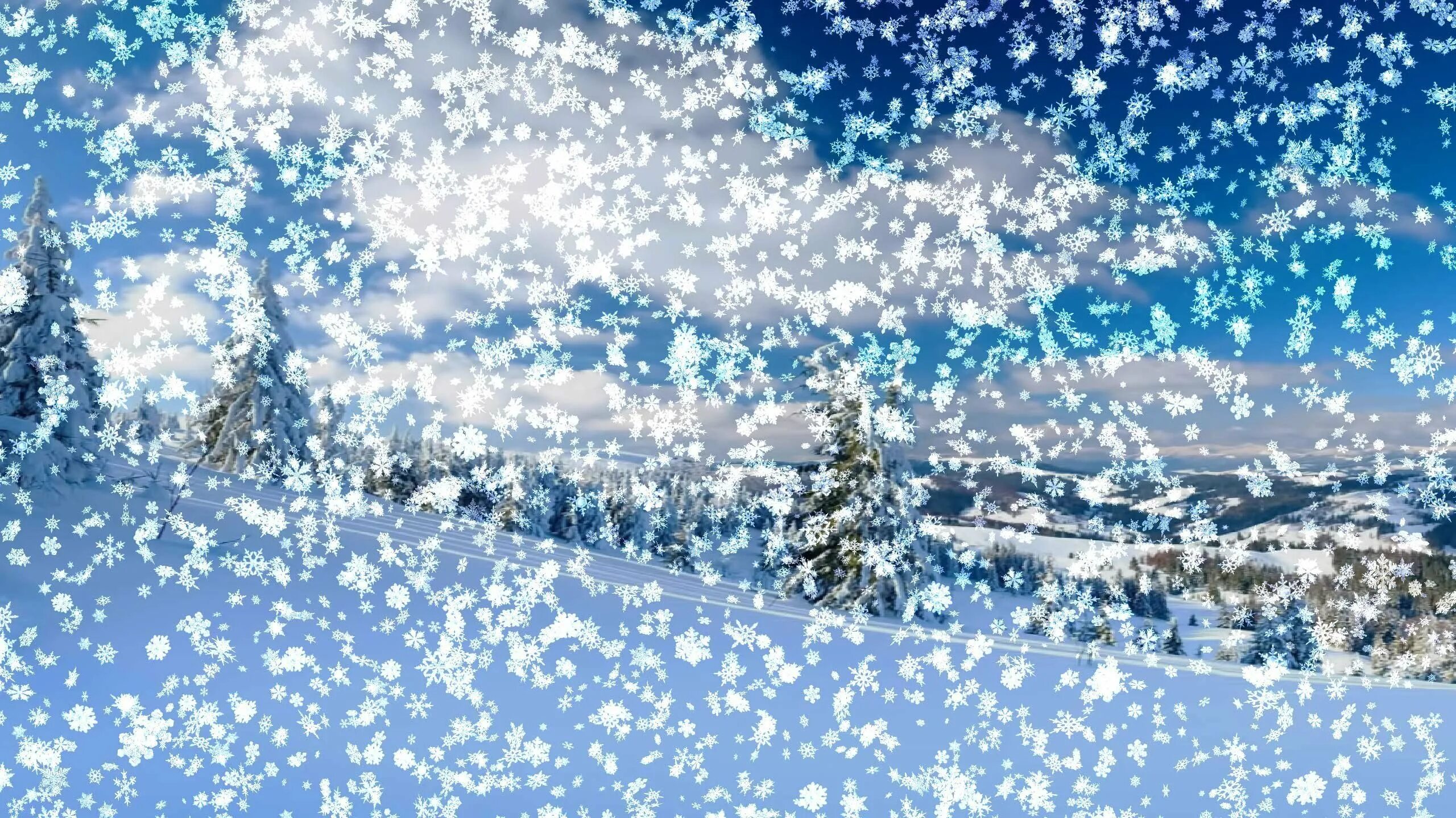 Зимний сказочный футаж. Падающий снег. фон зима. сказочный снегопад. зима снегопад.
