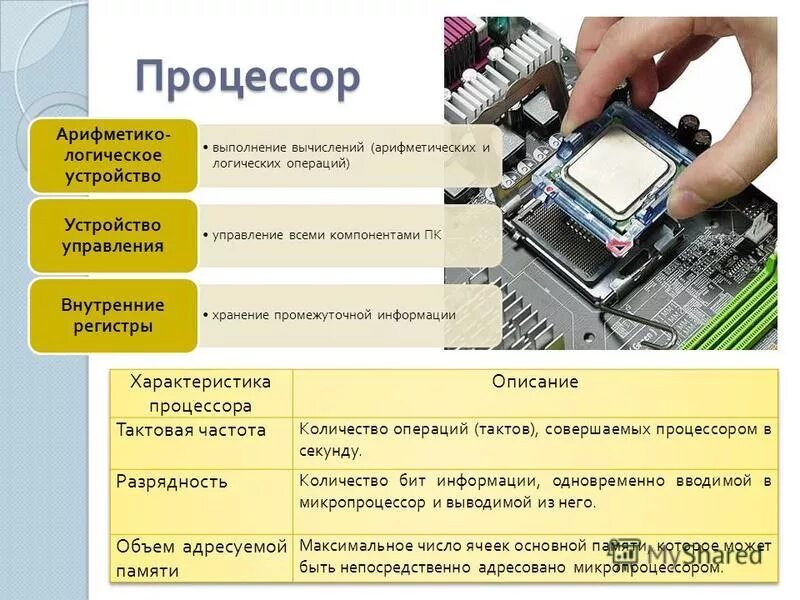 Операции выполняемые с информацией. Управляющее устройство процессора. Процессор картинки с описанием. Алу и уу в процессоре. Арифметическое логическое устройство в процессоре.