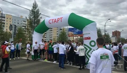 Кто победил в братске