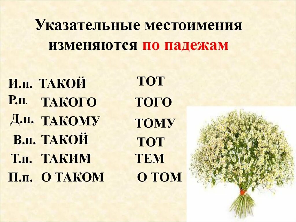 Местоимения. Просклонять указательные местоимения. Падежи указательных местоимений. Изменение местоимений по падежам.