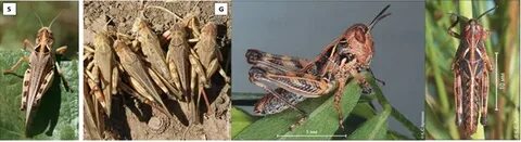 Барлық Алексис Техас порно видеолар