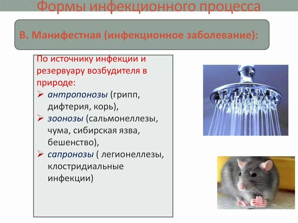 Трансмиссивные очаговые заболевания. Формы инфекционного процесса. Формы инфекционного процесса по природе возбудителя. Манифестные формы инфекционного процесса. Инфекционный процесс источник инфекции.