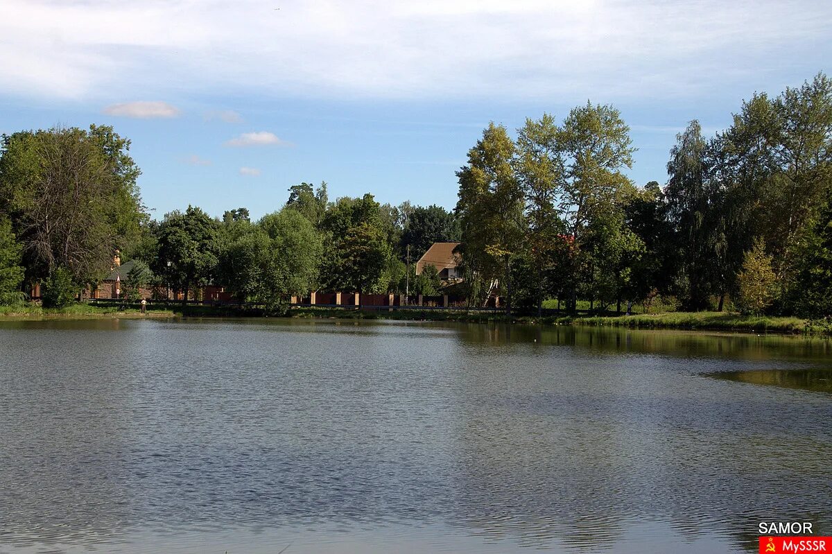 желтый пруд в салтыковке. золотой пруд салтыковка. салтыковка пруд. желтый пруд балашиха. желтый пруд балашиха.