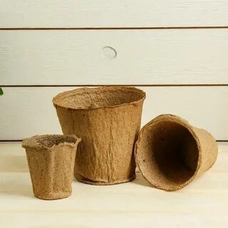 Сайт горшковых