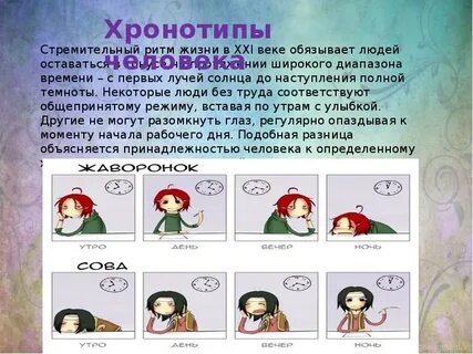 Хронотип
