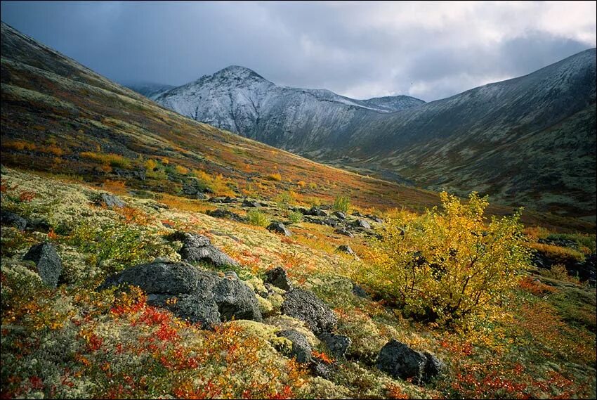 перевал академический хибины. мурманск хибины заповедник. хибинская 4. тахтарвумчорр высота. хибины август.