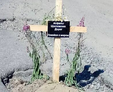 Покойся жизнь