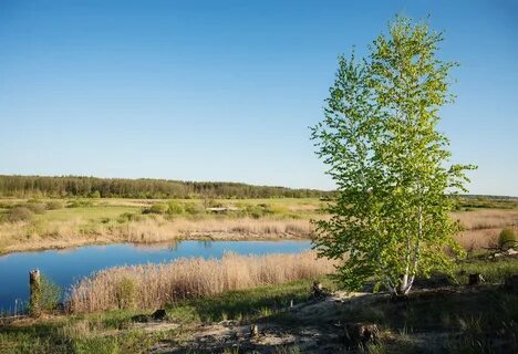 Пригород воронежа