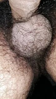 Big hairy ball sack