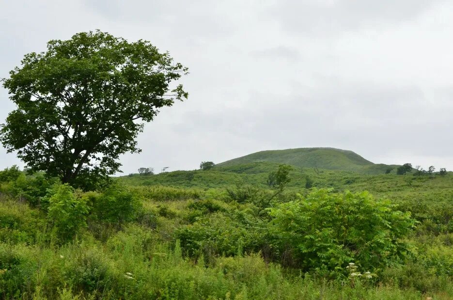 Барабаш Приморский край. Село Барабаш Хасанского района Приморского края. Занадворовка Приморского края Хасанского района. Россия, Приморский край, Хасанский район, село Барабаш.