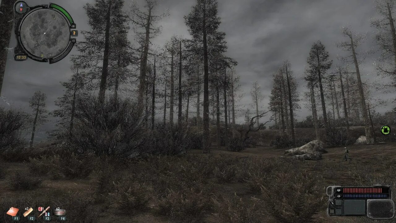 Мод на атмосферу. Сталкер absolute nature 3. stalker atmosfear for call of pripyat. моды зов припяти на растительность. растительность для сталкер зов припяти.