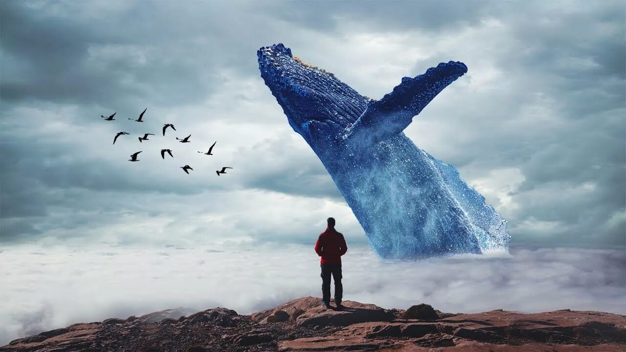 Amazing creatures 5. Amazing photo manipulation. amazing creatures. amazing creatures 5 класс. amazing foto.