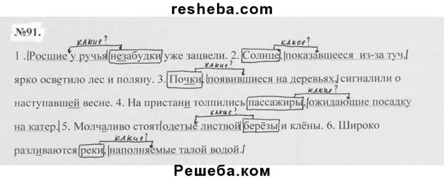 Росшие незабудки у ручья уже зацвели. Росшие у ручья незабудки зацвели причастный оборот. Росшие незабудки у ручья незабудки уже зацвели причастный оборот. Росшее незабудки у руч. Незабудка падеж