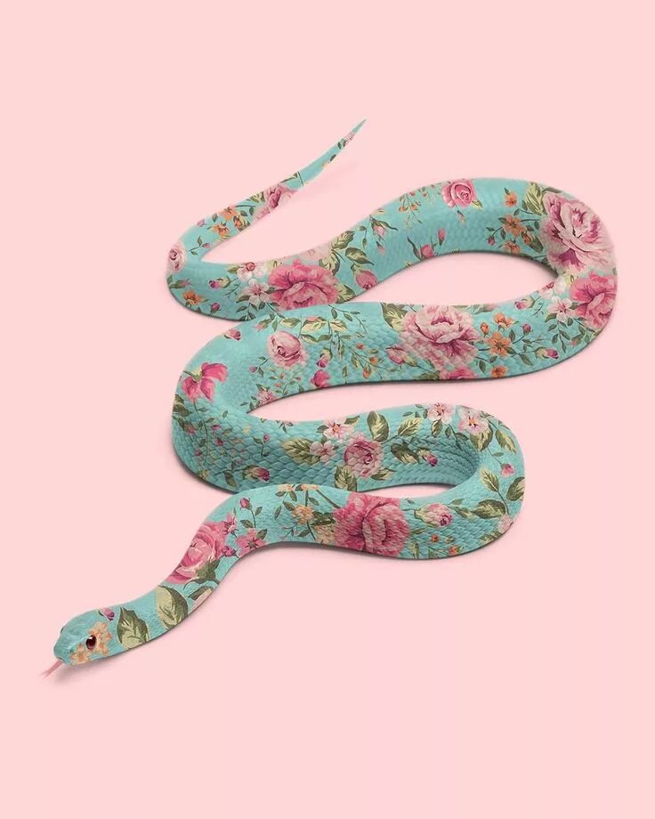Snake colors