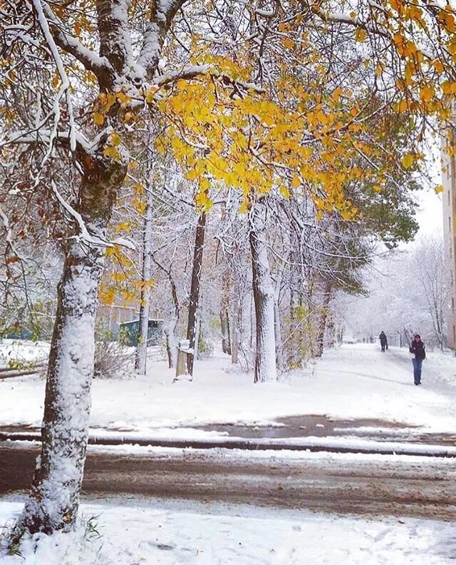 мы встретимся этой зимой