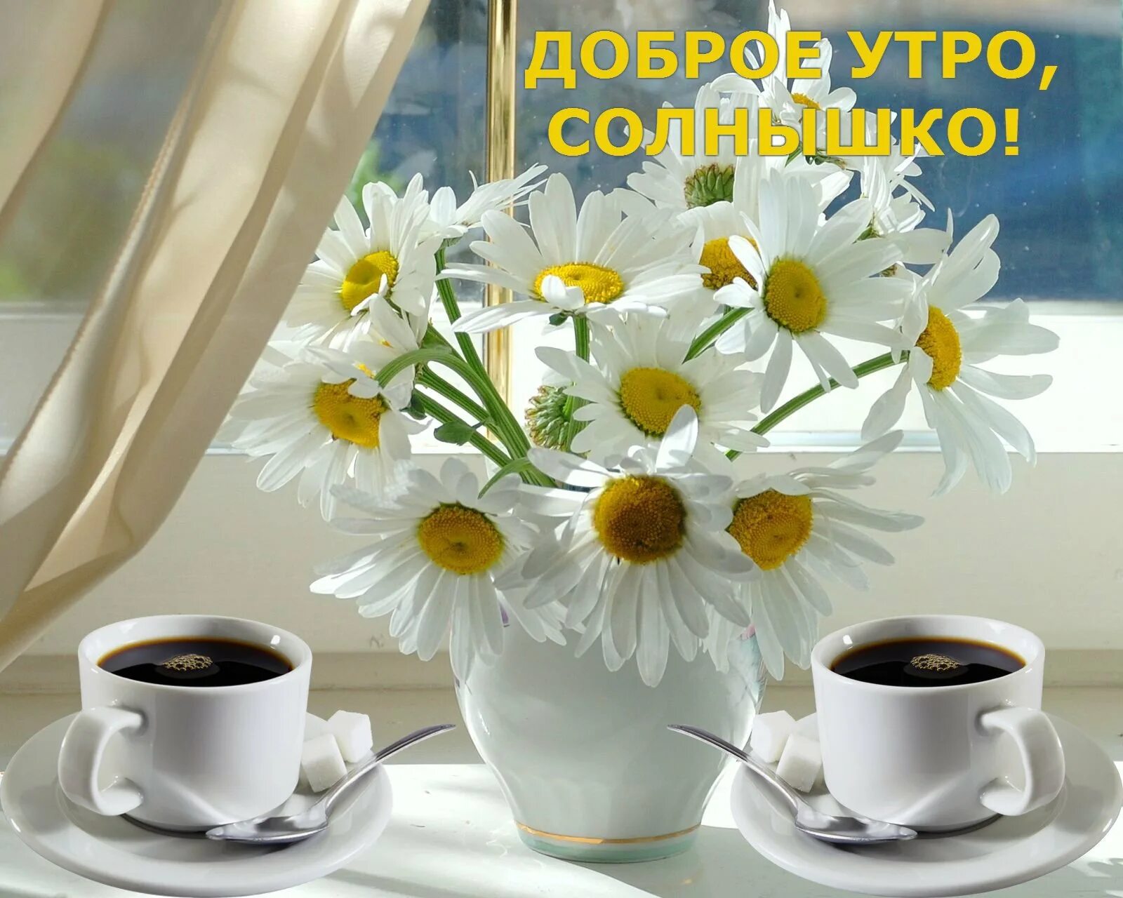 С добрым утром и светлым днем. Доброе утро солнышко. доброе утро солнце. доброеиуьоро солнышко. открытки с добрым утром с ромашками.