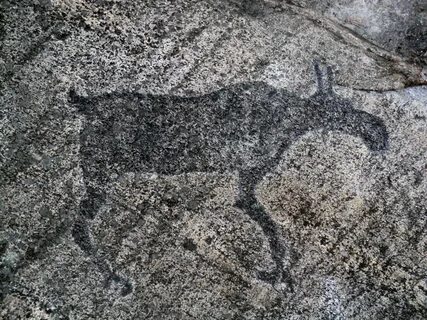 Наскальные петроглифы карелии
