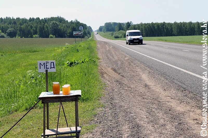 Кривск Гомельская область. Кривск поселок. Новый Кривск. Кривск деревня Кривск.