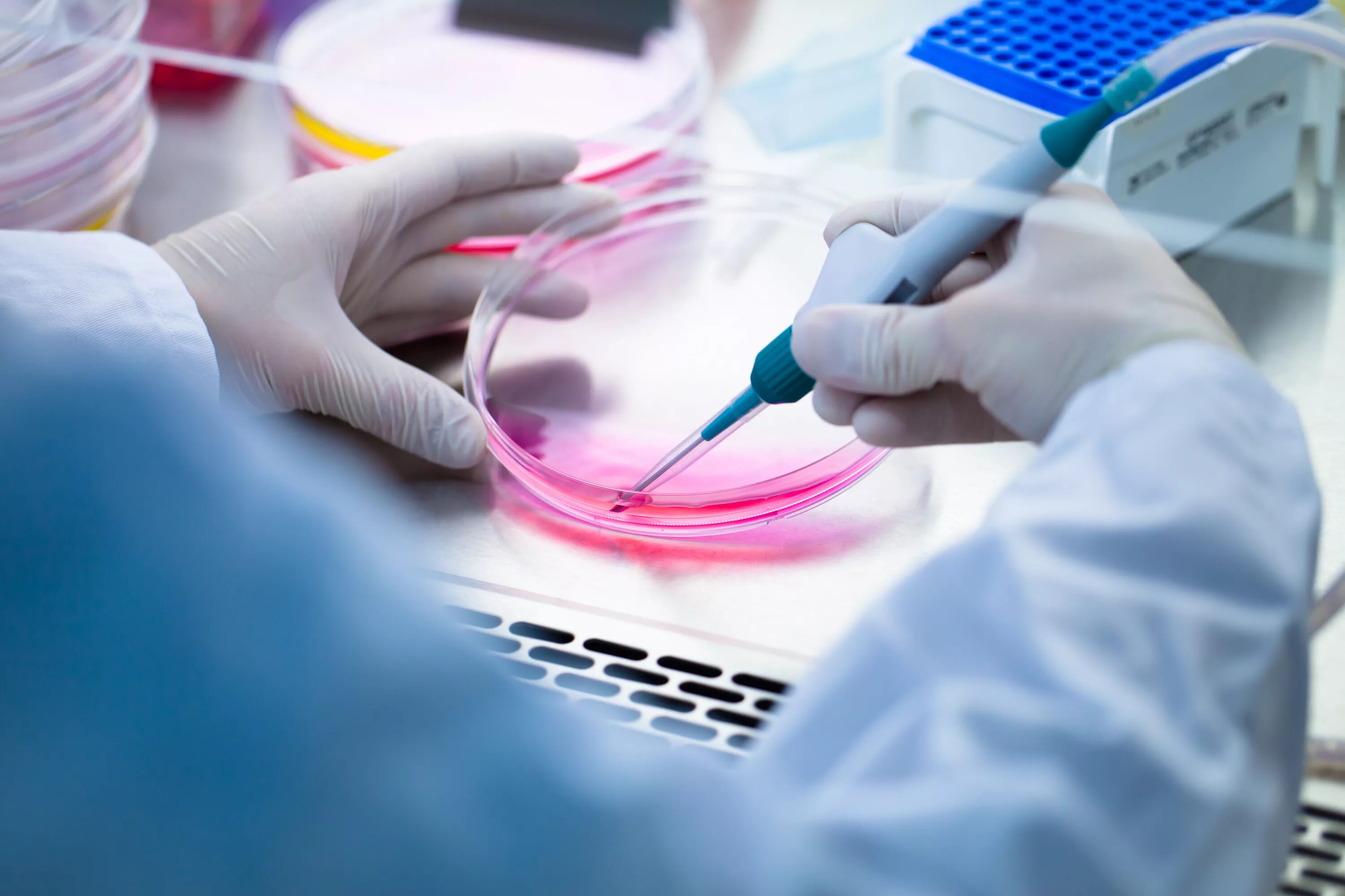 Cell solutions