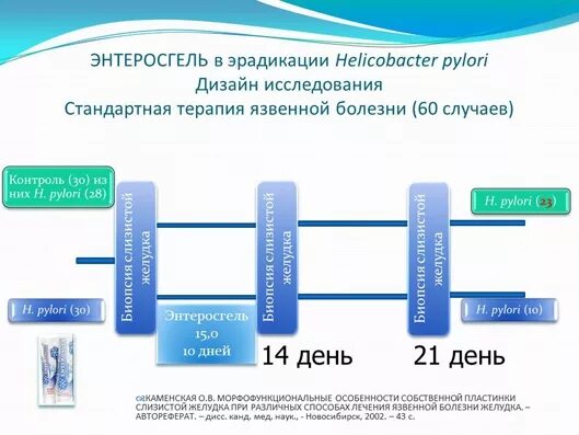 Эрадикационная терапия хеликобактер схемы. Эрадикационная терапия хеликобактер пилори схемы взрослых. Схема эрадикации хеликобактер пилори. Схема эрадикации хеликобактер. Схема эрадикации Helicobacter pylori.