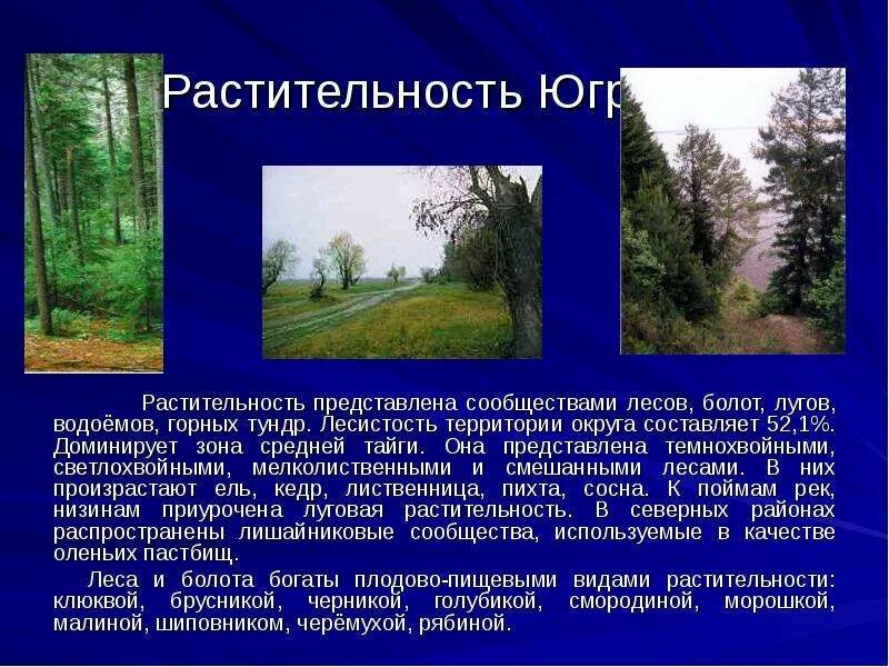 Сообщение о природном сообществе родного края. Растительность югры. природа родного края хмао. растительный мир хмао. растительный мир хмао югры.