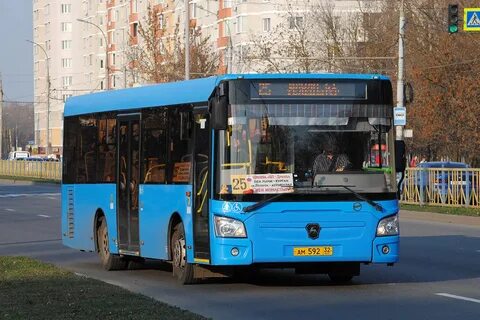 Автобус 462 от углово до ладожской