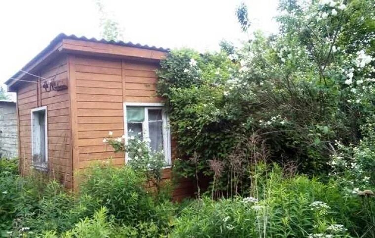 Купавна снт дача. Снт купавна зил сайт. снт купавинский садовод. купавна зил. снт купавна вос.