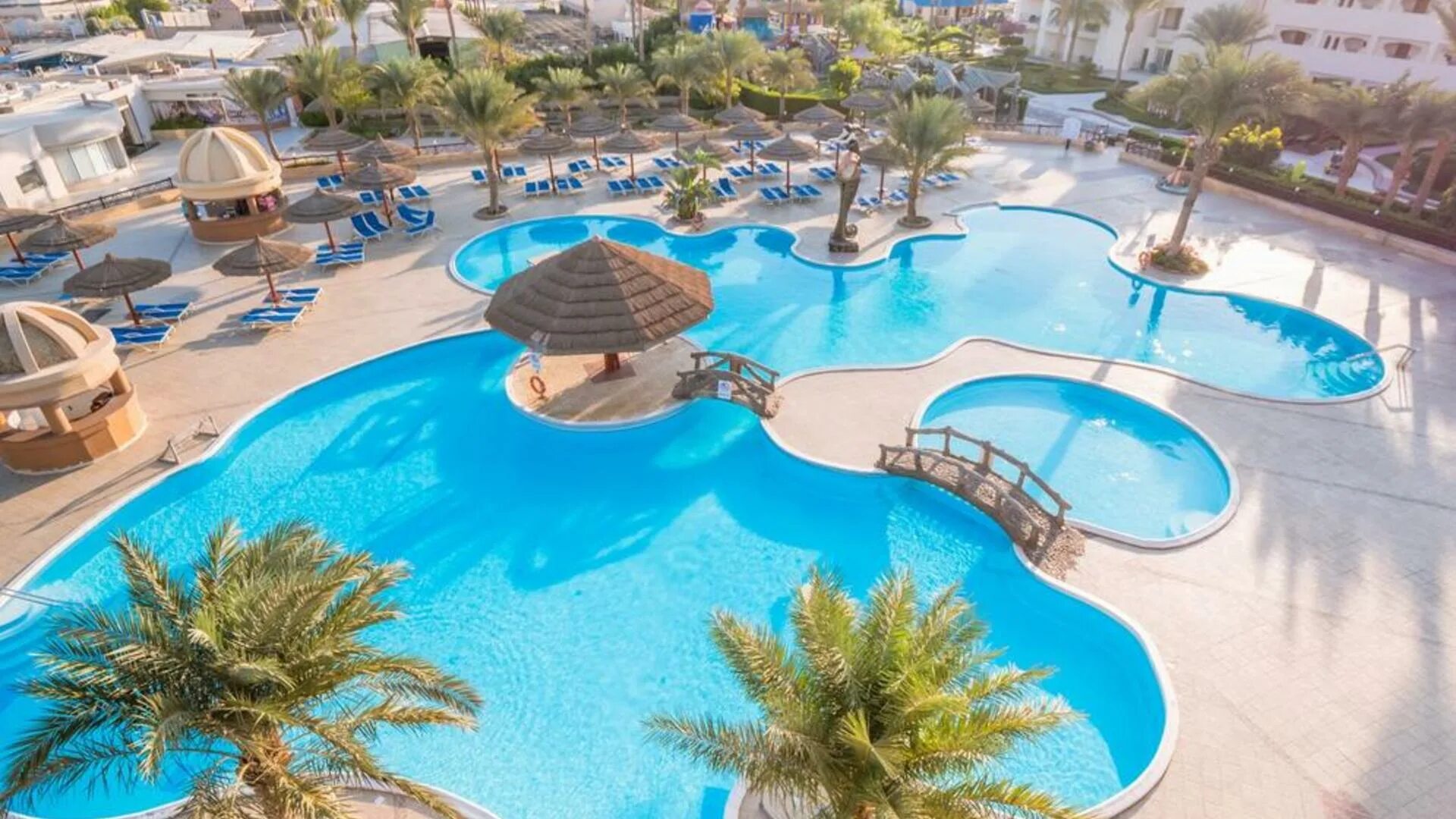 Hurghada seagull resort 4. Сигал Бич Резорт 4 Хургада. Seagull Beach Resort 4 Египет. Seagull Beach Resort Club 4 Хургада. Сигал Египет Хургада.