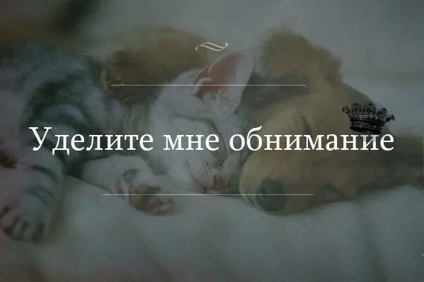 Кому не хватает любви. Хочется ласки и заботы. хочется любви и ласки цитаты. цитаты о ласке и нежности. хочется тепла и ласки цитаты.