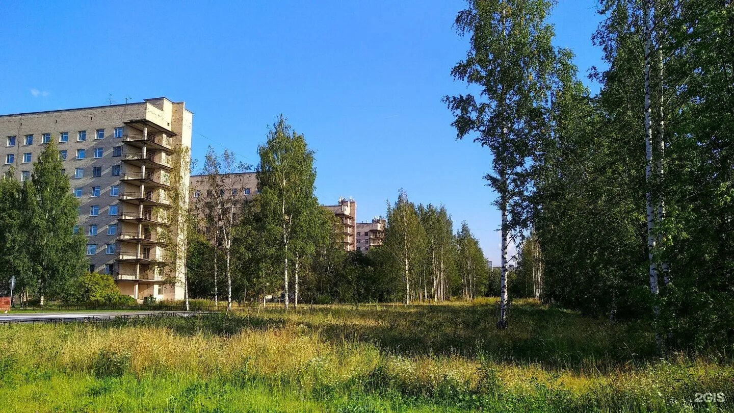 Солидарности проспект больница санкт петербург. Солидарности 4 александровская больница район. больница спб солидарности 4. проспект солидарности 4. солидарности 4 фото.