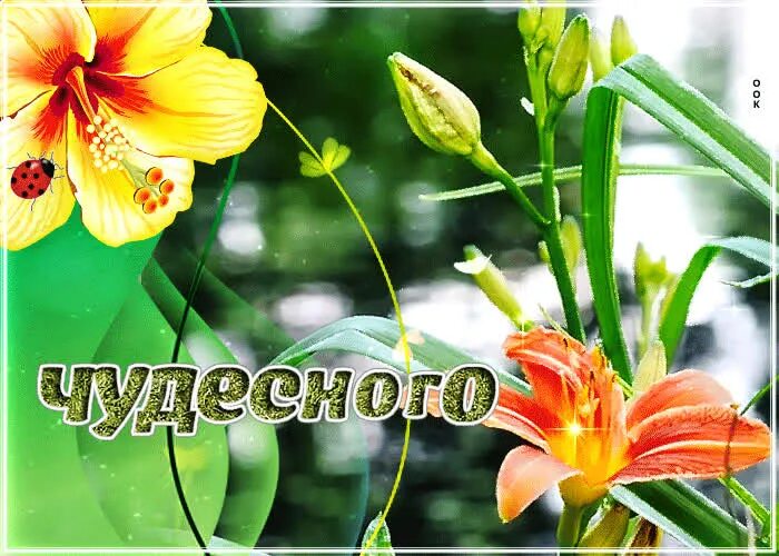 Вторник открытки красивые. Бесплатные гифки вторник. Анимационные открытки вторник. Бесплатные гифки вторник. Открытки замечательного вторника.