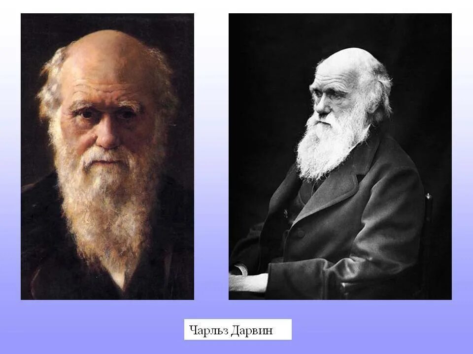 Дарвин 1831. Открытие Чарльза Дарвина в 1859. Учëные биологи Чарлз Дарвин.