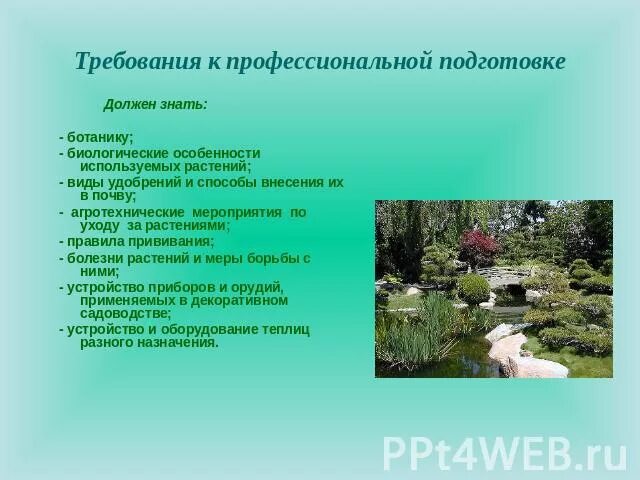 Чем полезна ботаника. Чем полезна профессия ботаник. Чем полезна работа ботаника. Чем работа ботаника полезна обществу. Значение в области какой ботанической науки