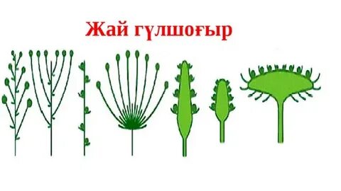 Баудағы құлдық оргазм