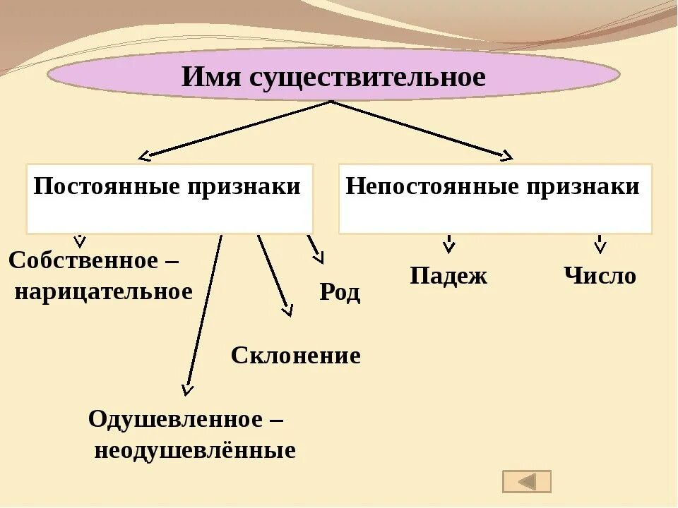 Признаки существительного