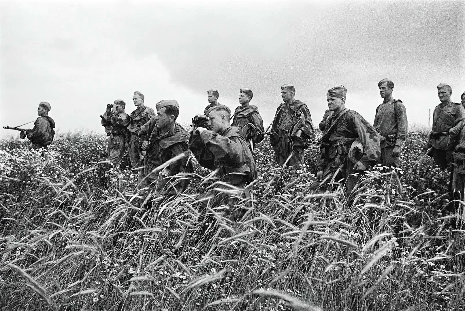 Львовско Сандомирская операция 1944 года. Освобождение Западной Украины 1944. Льво́вско-Сандоми́рская опера́ция (13 июля — 29 августа 1944). Львовско-Сандомирская операция (13 июля — 29 августа 1944). Львовская операция 1944