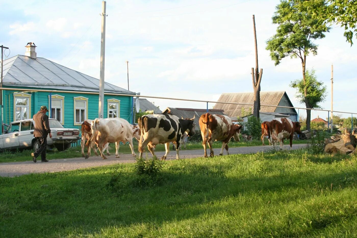 село нижняя покровка белгородская область. село нижняя покровка саратовской области. село нижняя покровка красногвардейский район белгородская область. село покровка ивнянский район белгородская область. верхняя покровка красногвардейского района белгородской области.