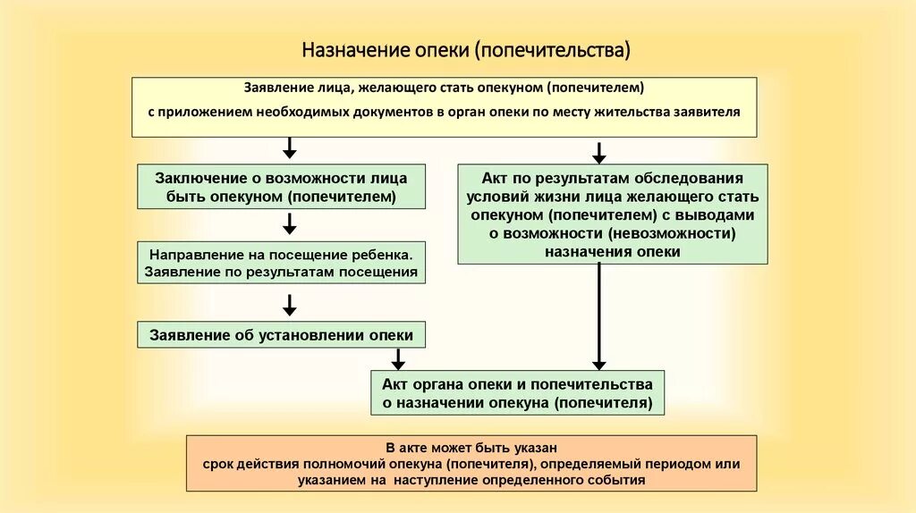 Как сделать опекунство. Структура органов опеки и попечительства. Схема организационной структуры управления опеки и попечительства. Задачи органов опеки. Попечительство это форма устройства.