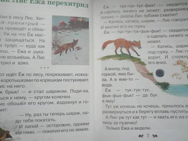 Лиса и еж рассказ. Рассказ как лис ежа перехитрил. рассказ про лису и ежа. бианки как лис ежа перехитрил. рассказ бианки про лису и ежа.